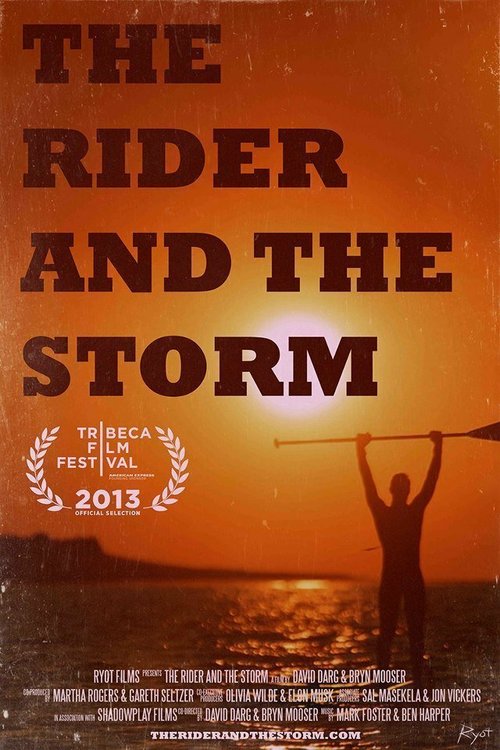 The Rider and The Storm  (2013)