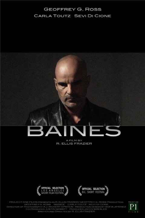 Baines  (2009)