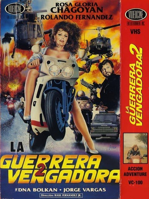 La vengadora 2  (1991)