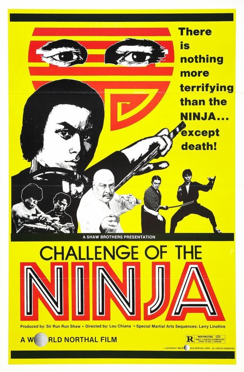 Шаолинь вызывает ниндзя  (1978)