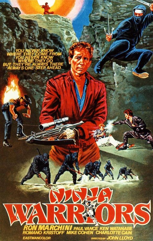 Воины ниндзя  (1985)