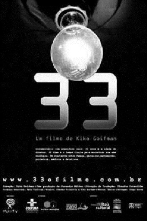 33  (2002)