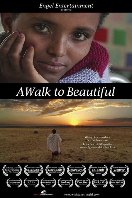 A Walk to Beautiful  (2007)