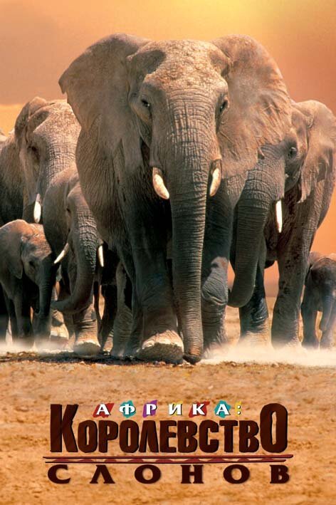 Африка — королевство слонов  (1998)