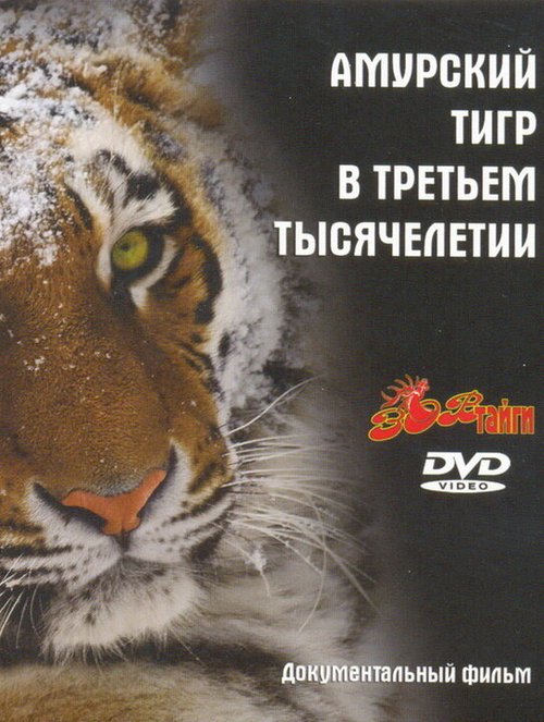 Амурский тигр в третьем тысячелетии  (2010)