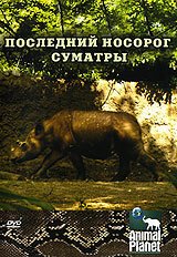 Animal Planet: Последний носорог Суматры  (2002)