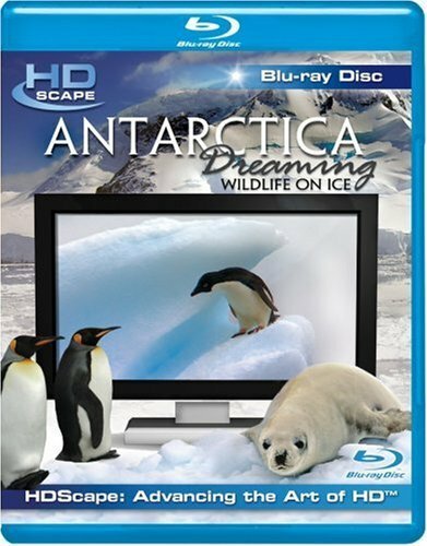 Антарктика — Дикая жизнь на льду  (2006)