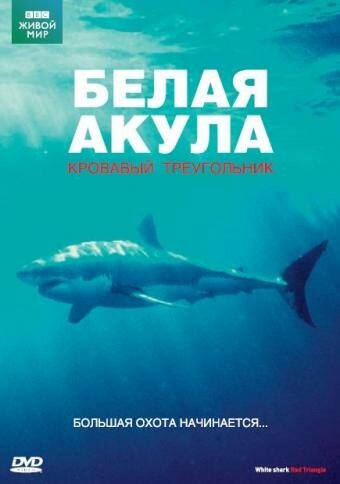 BBC: Белая акула. Кровавый треугольник  (2002)