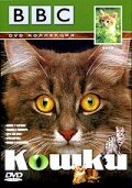 BBC: Кошки  (1991)