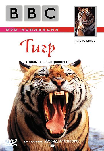 BBC: Тигр  (1999)