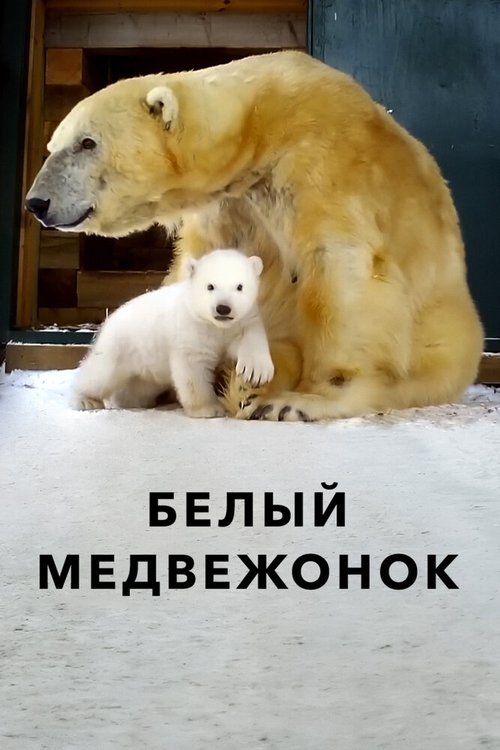 Белый медвежонок  (2018)