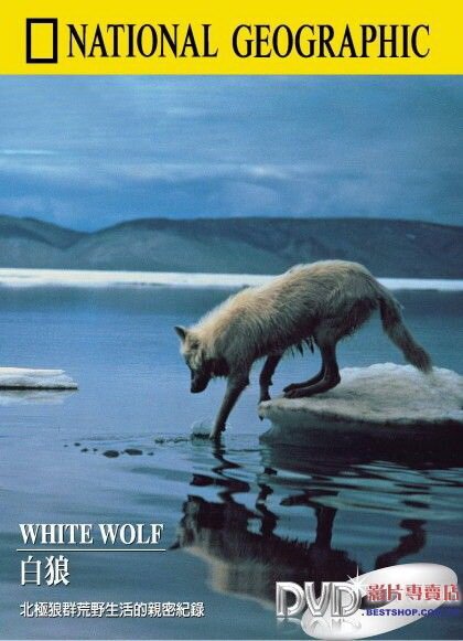 Белый волк  (1986)