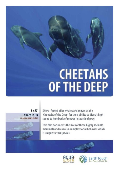 Дельфины — гепарды морских глубин  (2014)