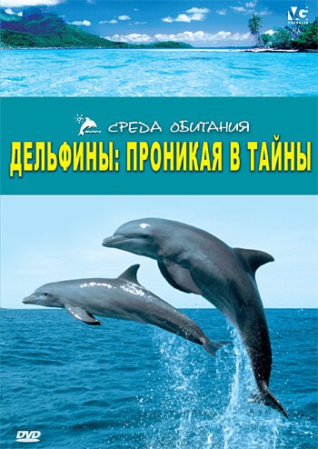 Дельфины: Проникая в тайны