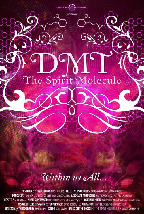 ДМТ: Молекула духа  (2010)