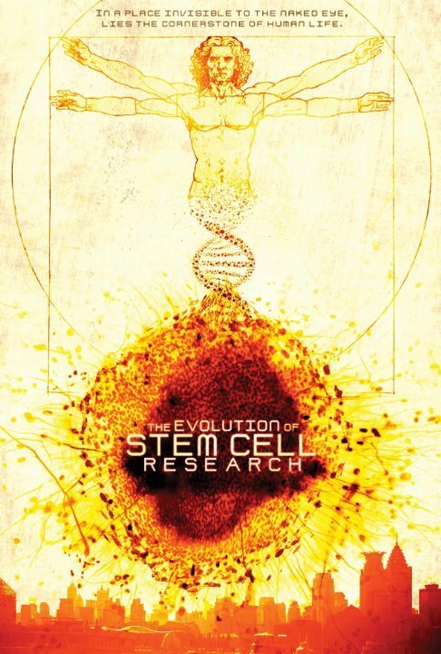 Эволюция исследований стволовых клеток  (2014)