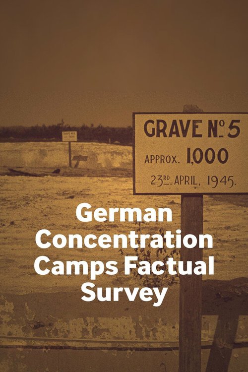 Факты о немецких концентрационных лагерях  (2017)