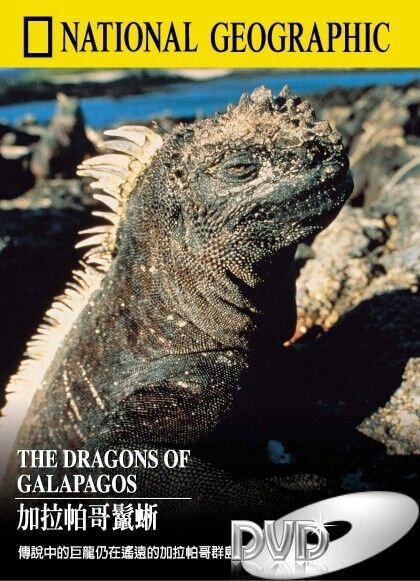 Галапагосские драконы  (1998)