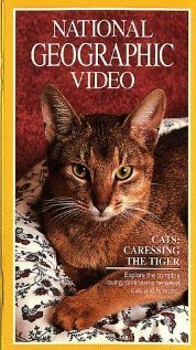 Кошки: Ласковые тигры  (1991)