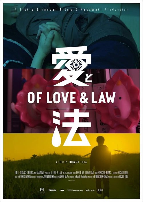 Любовь и закон  (2017)