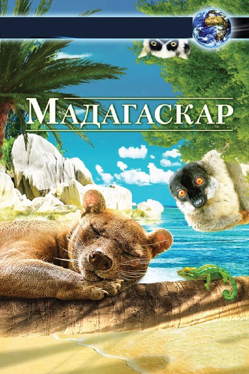 Мадагаскар 3D