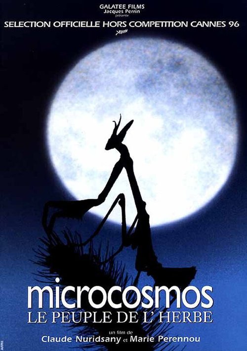Микрокосмос  (2001)