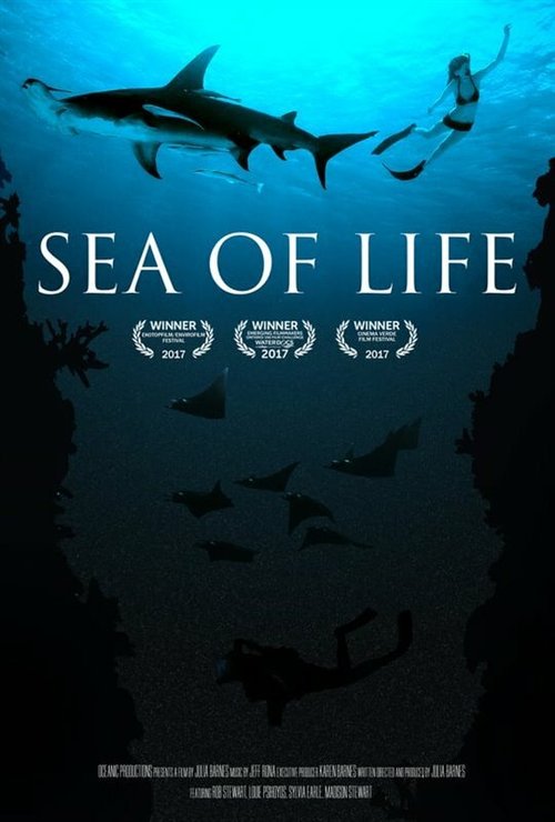Море жизни  (2017)