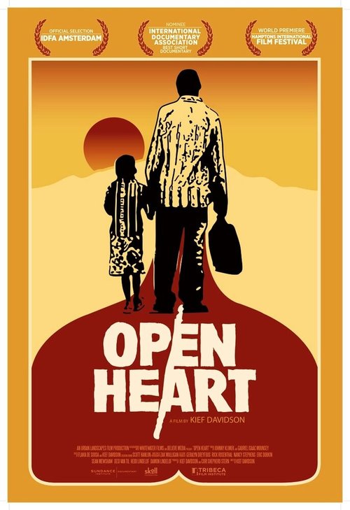 Открытое сердце  (2013)