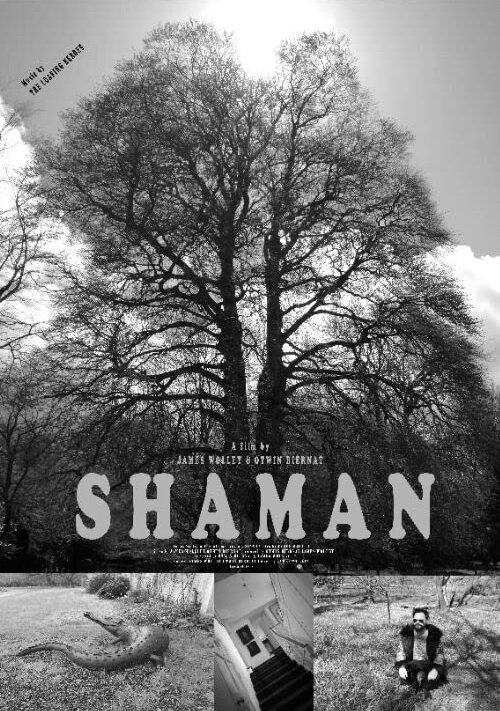 Shaman  (2020)