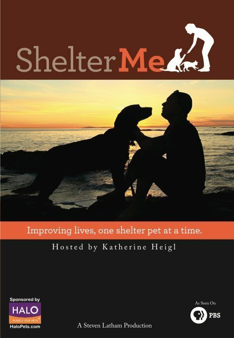 Shelter Me  (2012)