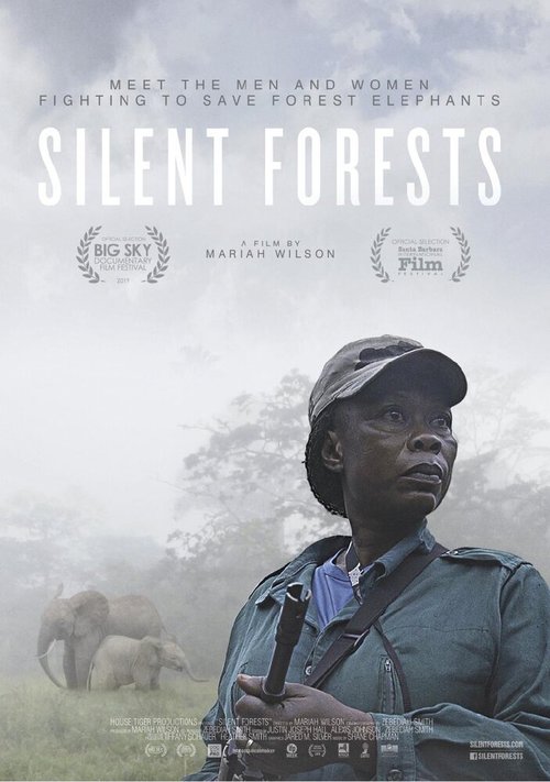 Silent Forests  (2019)