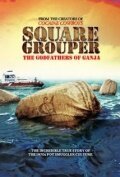 Square Grouper  (2011)