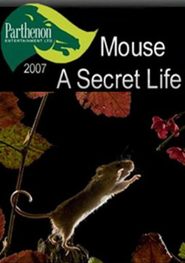 Тайная жизнь мышей  (2007)
