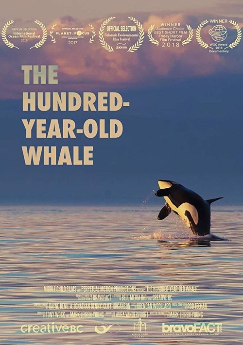 The Hundred Year Old Whale