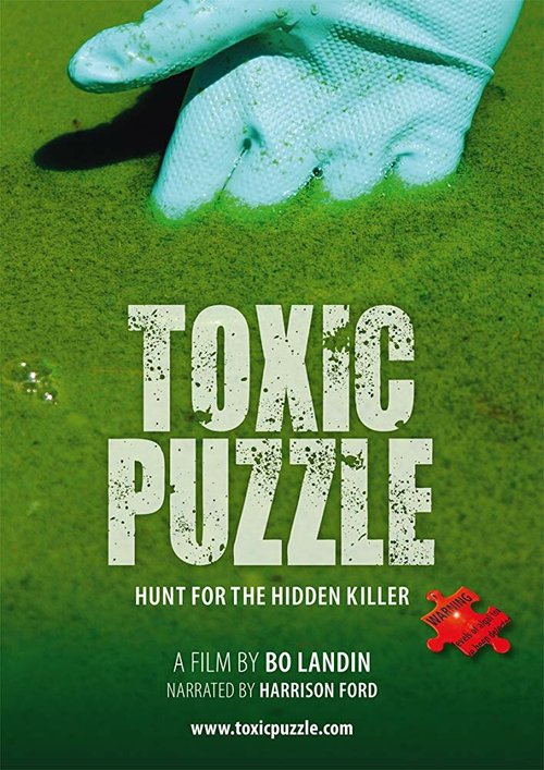 Toxic Puzzle  (2017)