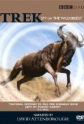 Trek: Spy on the Wildebeest