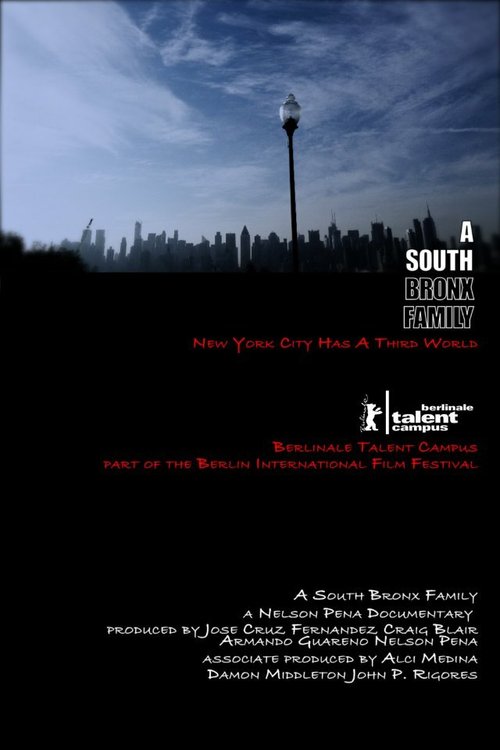 A South Bronx Family  (2013)