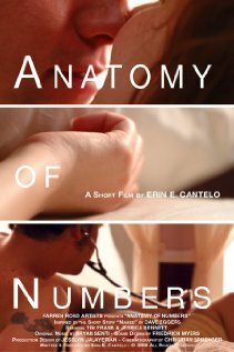 Anatomy of Numbers