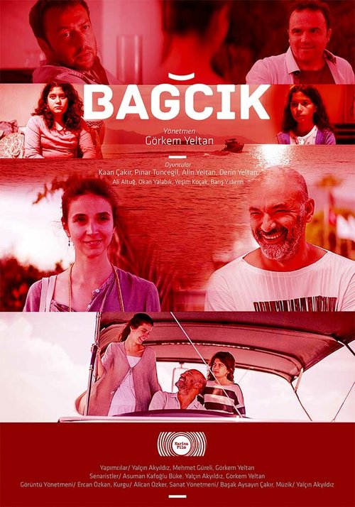 Bagcik  (2018)
