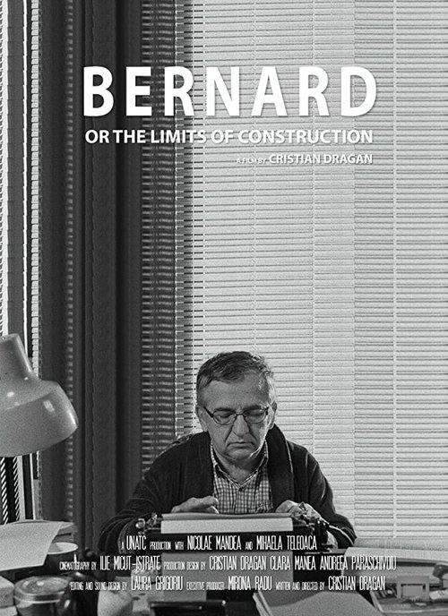 Bernard or the Limits of Construction  (2016)