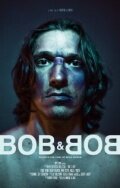 Боб и Боб  (2010)