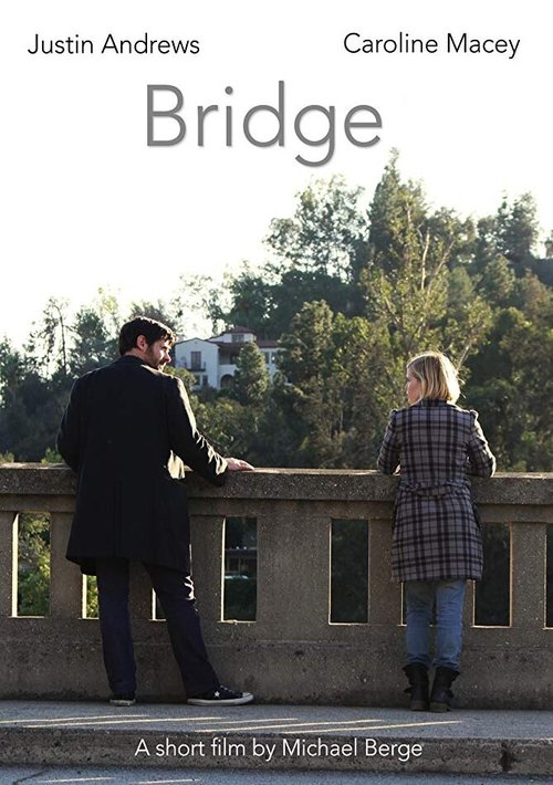 Bridge  (2014)