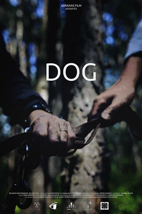Dog  (2016)