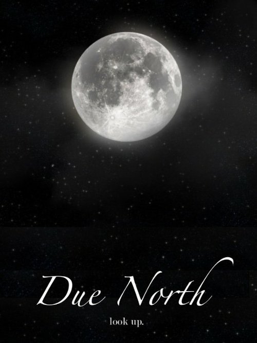 Due North  (2014)
