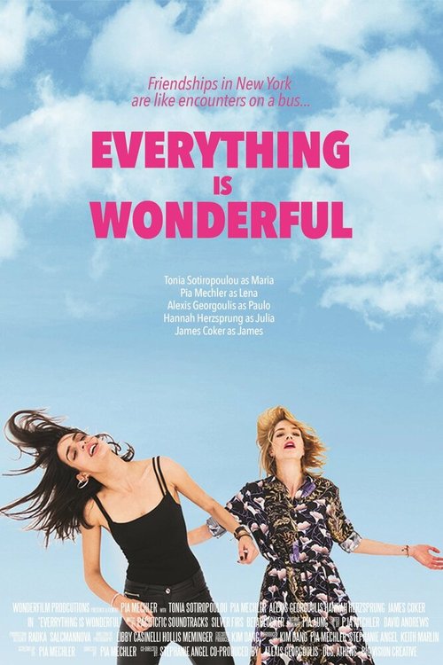 Everything Is Wonderful  (2017)