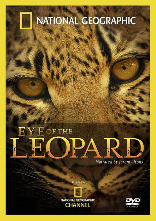 Глазами леопарда
