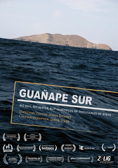 Гуанапе Сур  (2010)