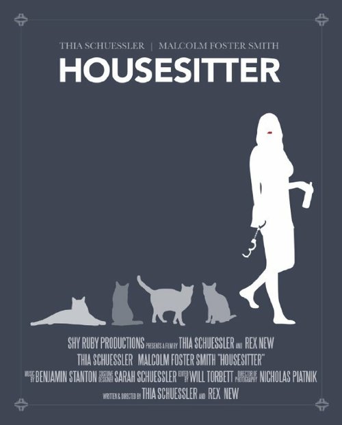 Housesitter  (2013)