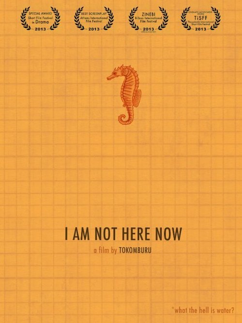 I Am Not Here Now
