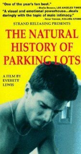 История о парковочных местах